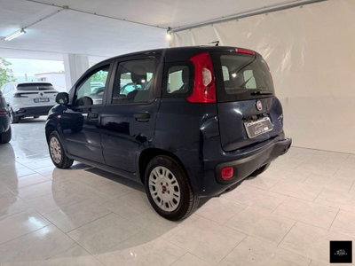 Fiat Panda 1.2 Easy (5)