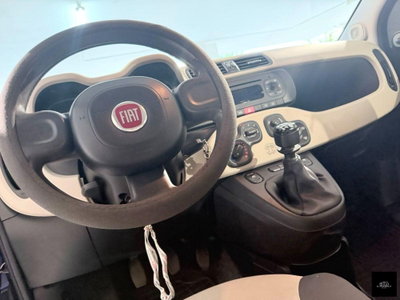 Fiat Panda 1.2 Easy (6)