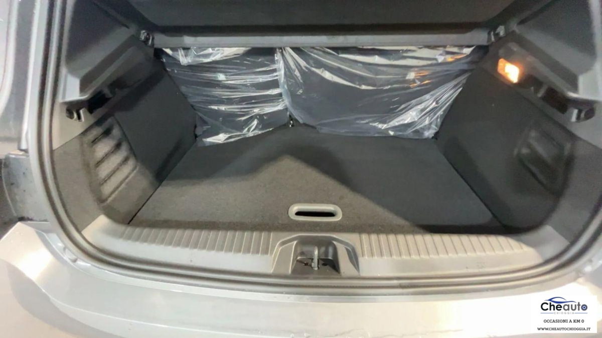 Renault Clio TCe 12V 90 CV GPL 5 porte Van (18)