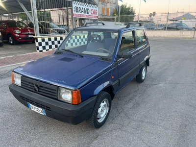 Fiat Panda 1100 i.e. cat 4x4 Trekking usata
