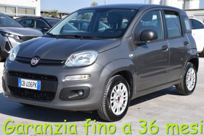 Fiat Panda 1.2 Easy usata