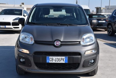 Fiat Panda 1.2 Easy (2)