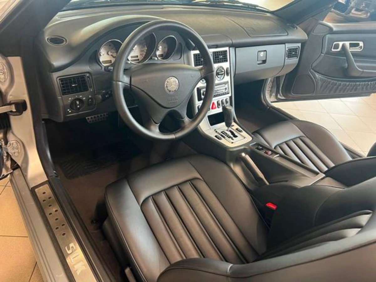 Mercedes-Benz SLK 320 cat Special Edition (12)