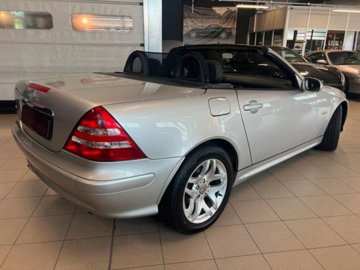 Mercedes-Benz SLK 320 cat Special Edition (4)