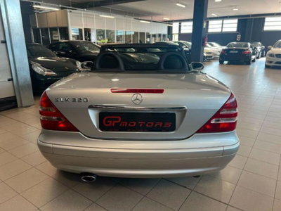 Mercedes-Benz SLK 320 cat Special Edition (5)