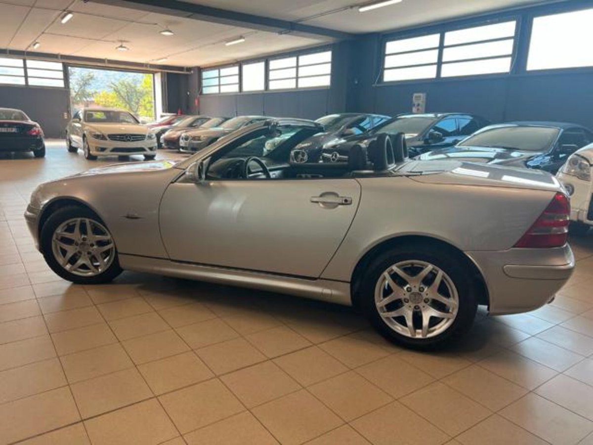 Mercedes-Benz SLK 320 cat Special Edition (9)