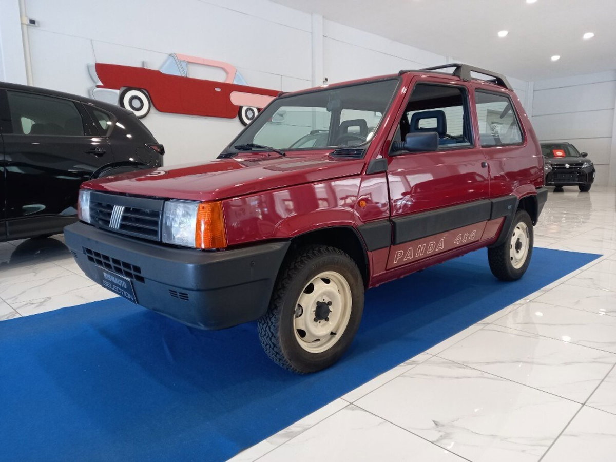 Fiat Panda 1000 i.e. cat 4x4 Trekking