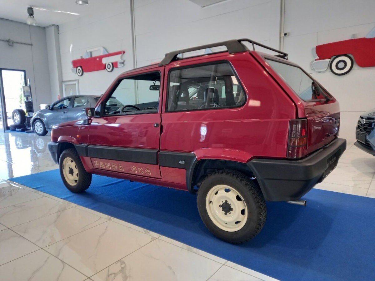 Fiat Panda 1000 i.e. cat 4x4 Trekking (3)