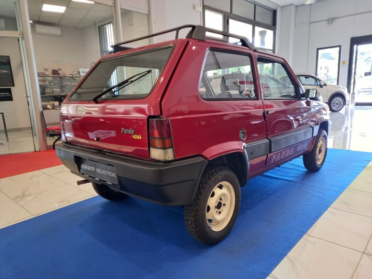 Fiat Panda 1000 i.e. cat 4x4 Trekking (5)