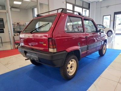 Fiat Panda 1000 i.e. cat 4x4 Trekking (5)
