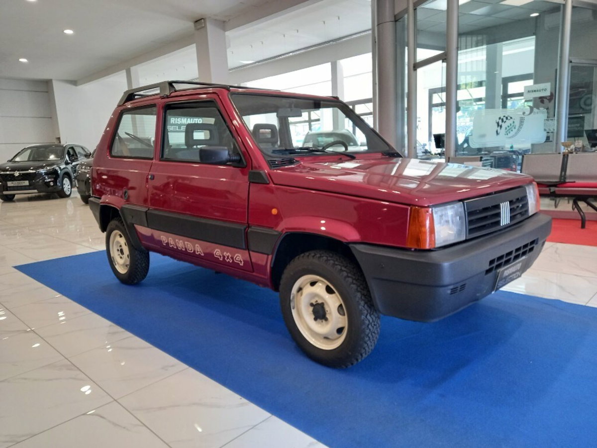 Fiat Panda 1000 i.e. cat 4x4 Trekking (6)