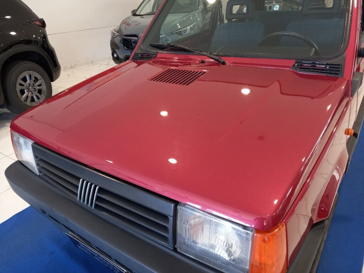 Fiat Panda 1000 i.e. cat 4x4 Trekking (8)