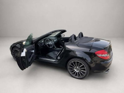 Mercedes-Benz SLK 350 cat (3)