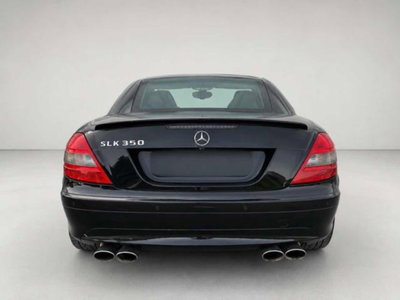 Mercedes-Benz SLK 350 cat (4)