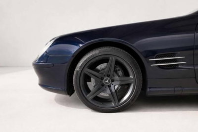 Mercedes-Benz SL 500 cat (3)