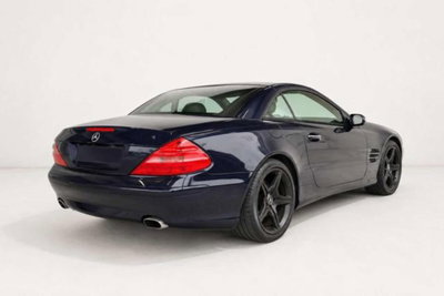 Mercedes-Benz SL 500 cat (4)