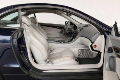 Mercedes-Benz SL 500 cat (5)