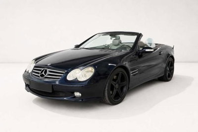 Mercedes-Benz SL 500 cat (6)