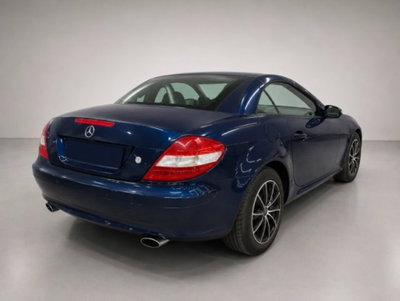 Mercedes-Benz SLK 200 Kompressor cat (3)