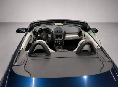 Mercedes-Benz SLK 200 Kompressor cat (6)