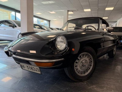 Alfa Romeo Spider 1.6 Junior usata