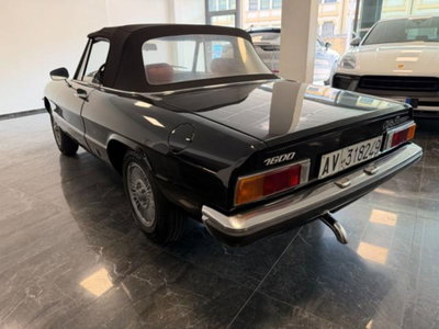 Alfa Romeo Spider 1.6 Junior (4)