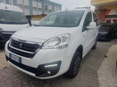 Peugeot Partner BlueHDi 100 4x4 Active Traction Control (3)