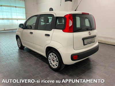 Fiat Panda 1.2 Pop Van 2 posti (4)