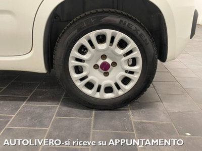 Fiat Panda 1.2 Pop Van 2 posti (5)