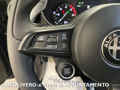 Alfa Romeo Stelvio Stelvio 2.2 Turbodiesel 190 CV AT8 Q4 Super Business (18)