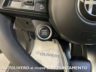 Alfa Romeo Stelvio Stelvio 2.2 Turbodiesel 190 CV AT8 Q4 Super Business (19)