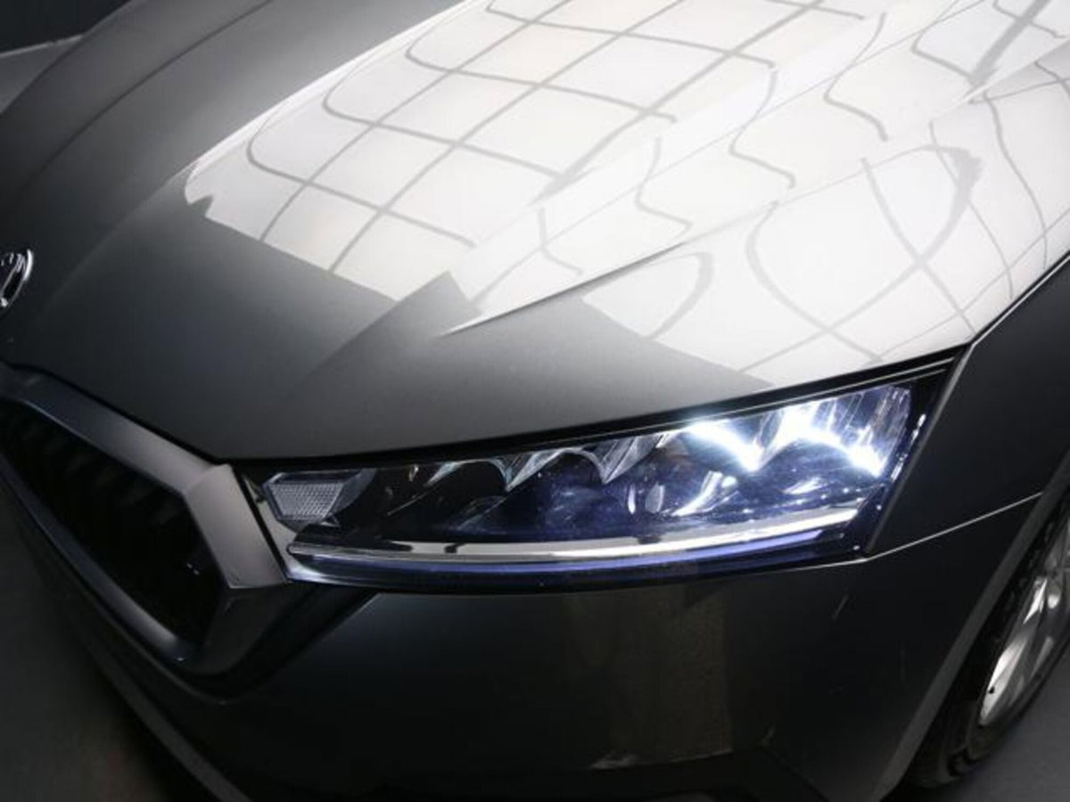 Skoda Octavia Station Wagon 2.0 TDI EVO SCR DSG Wagon Executive (10)