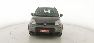 Fiat Panda 1.0 firefly hybrid s&s 70cv 5p.ti (2)