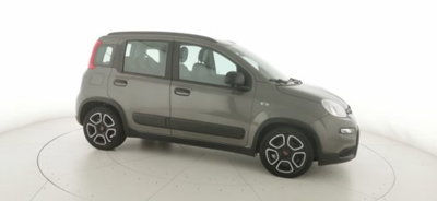 Fiat Panda 1.0 firefly hybrid s&s 70cv 5p.ti (20)
