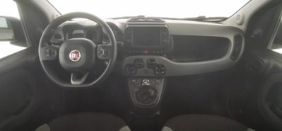 Fiat Panda 1.0 firefly hybrid s&s 70cv 5p.ti (9)