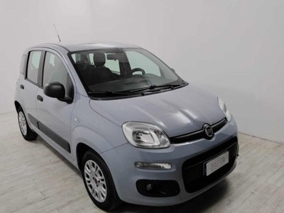 Fiat Panda 1.2 Lounge (2)