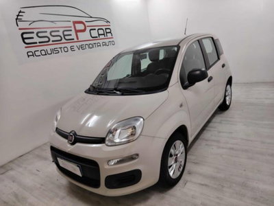 Fiat Panda 1.2 Lounge usata