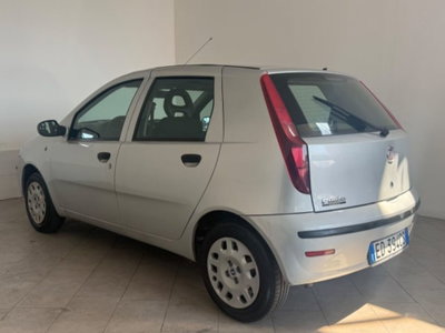 Fiat Punto Classic 1.2 5 porte Active (5)