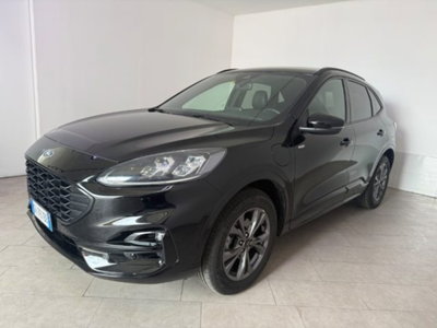 Ford Kuga 2.5 Plug In Hybrid 225 CV CVT 2WD (3)