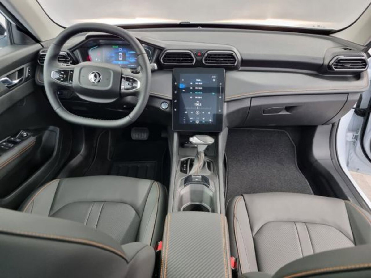 Dongfeng Shine GS  1.5 E1 dct (6)