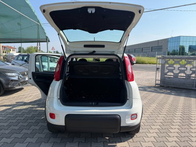 Fiat Panda 1.0 FireFly S&S Hybrid (11)