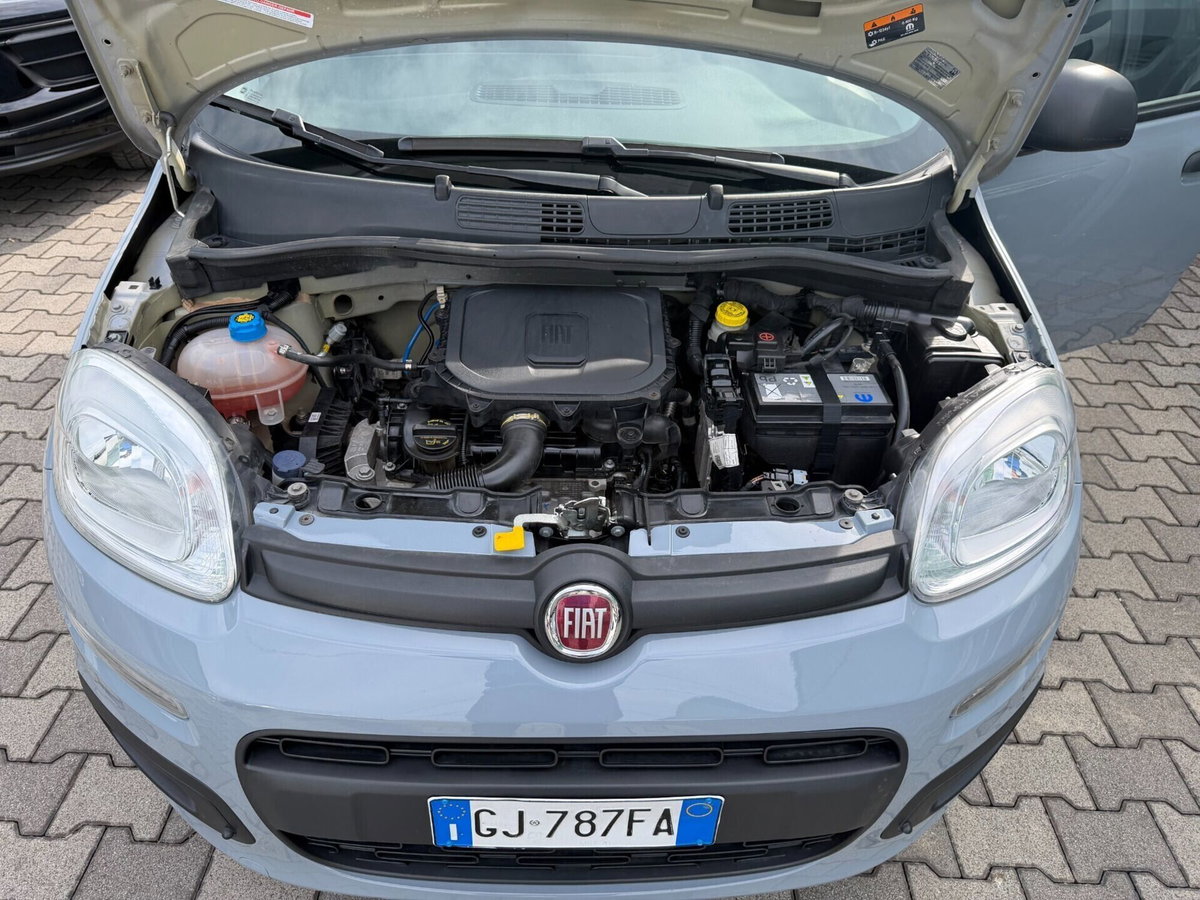 Fiat Panda Cross Cross 1.0 FireFly S&S Hybrid (17)