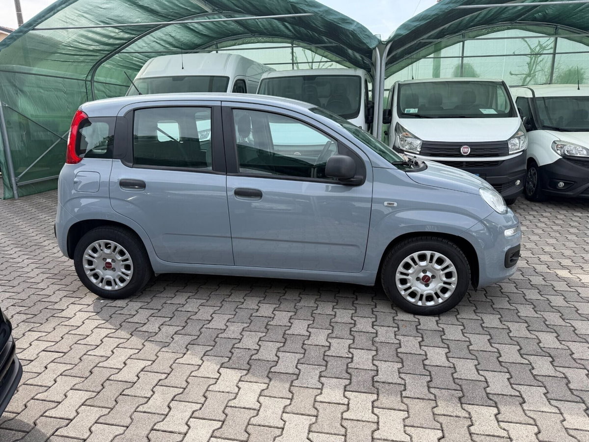 Fiat Panda Cross Cross 1.0 FireFly S&S Hybrid (2)