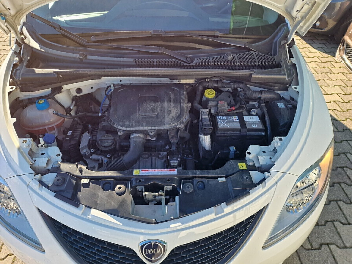 Lancia Ypsilon 1.2 69 CV 5 porte Gold (12)