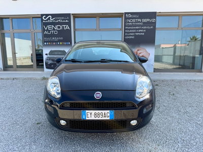 Fiat Punto 1.3 MJT II 75 CV 5 porte Street (2)
