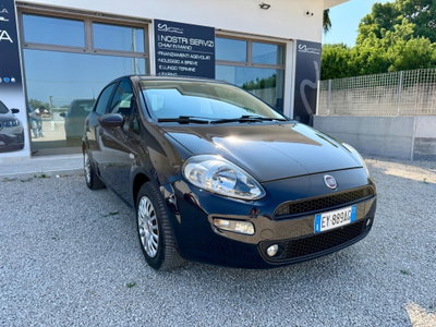 Fiat Punto 1.3 MJT II 75 CV 5 porte Street (3)