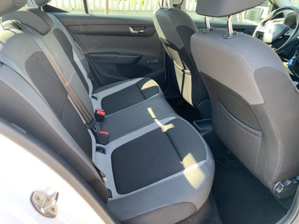 Skoda Fabia 1.4 TDI 90 CV Executive (11)