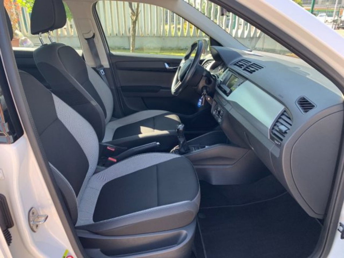 Skoda Fabia 1.4 TDI 90 CV Executive (12)