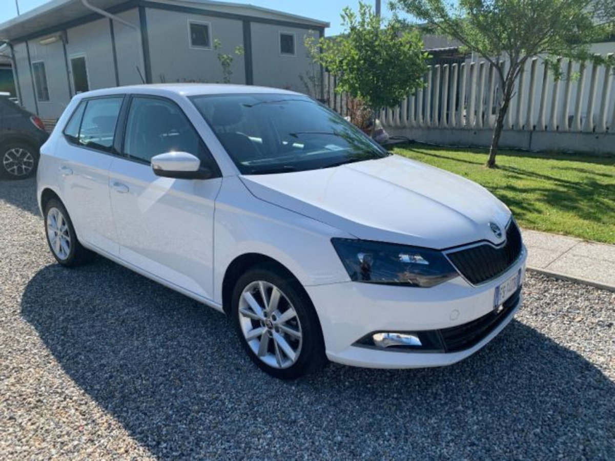 Skoda Fabia 1.4 TDI 90 CV Executive (3)