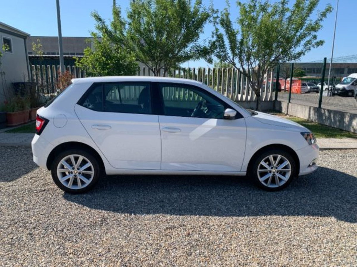 Skoda Fabia 1.4 TDI 90 CV Executive (4)